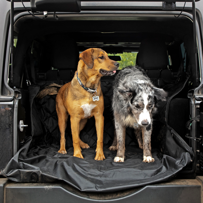Pet Seat Covers